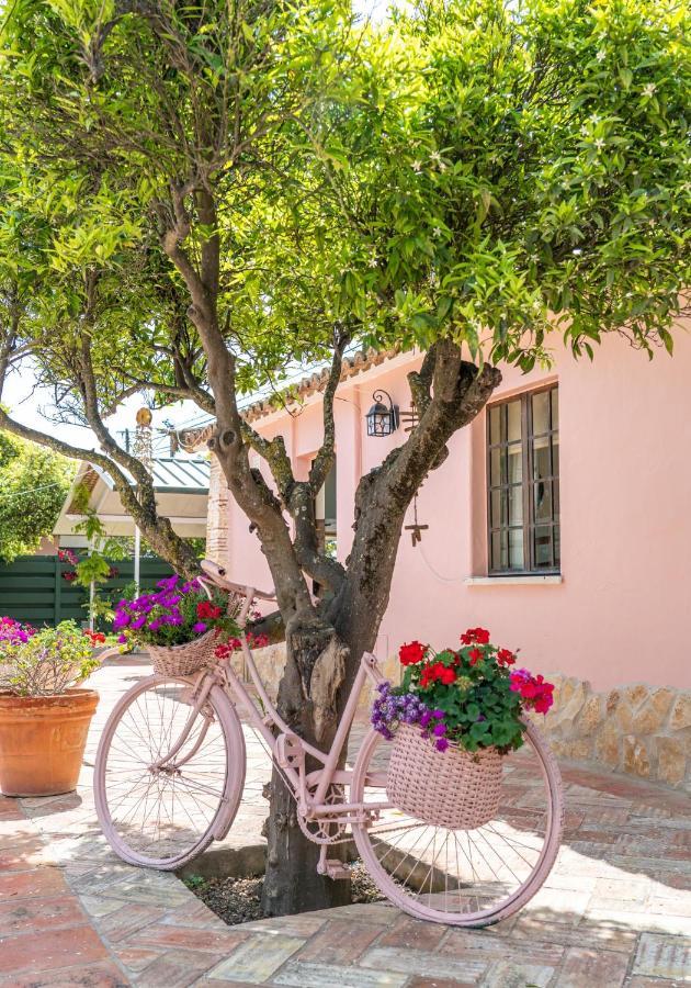 Quinta Aida Cottage And B&B Suites Lagoa  Eksteriør bilde