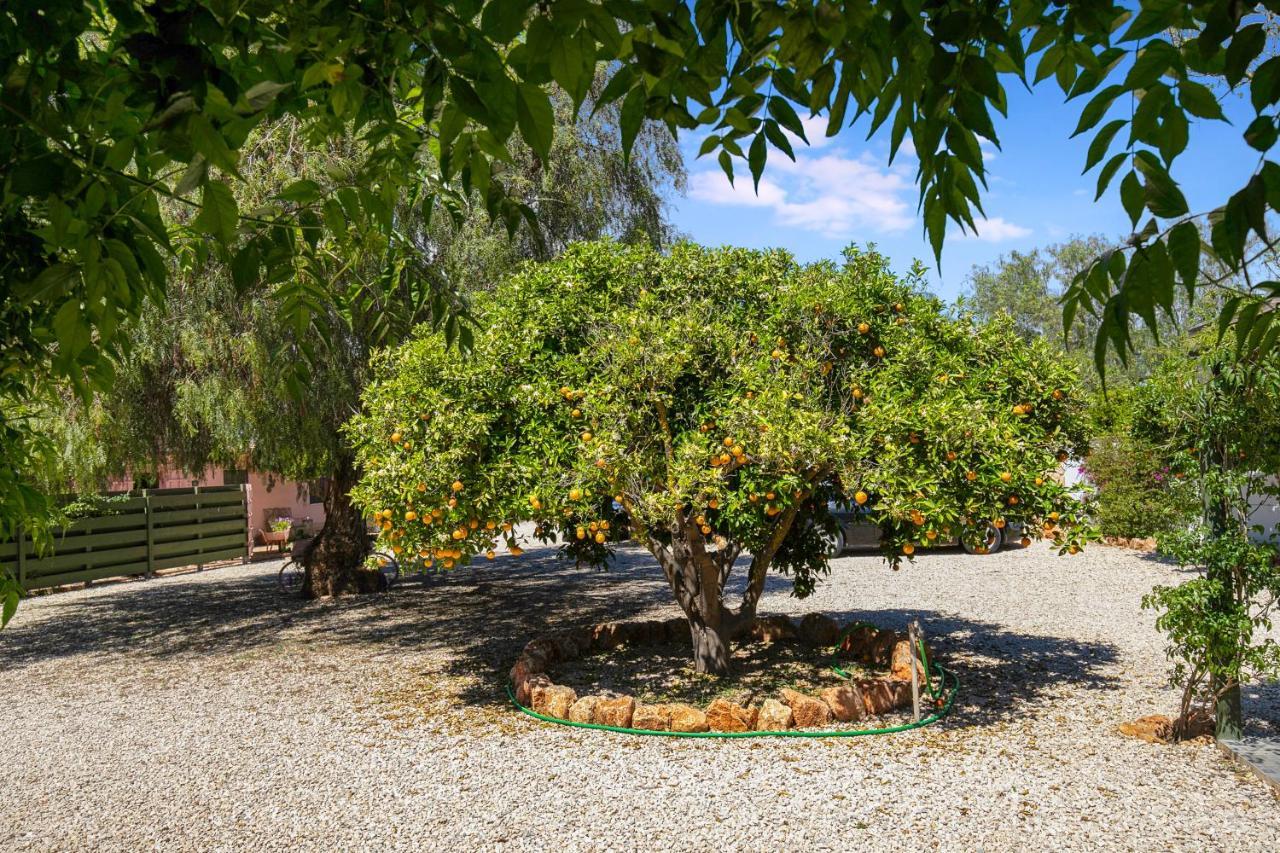 Quinta Aida Cottage And B&B Suites Lagoa  Eksteriør bilde